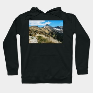 Mountain trail Hoodie